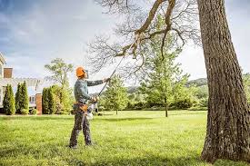 How Our Tree Care Process Works  in  Melody Hill, IN